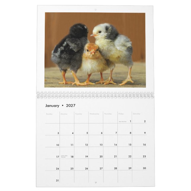 2015 Huhn-Wandkalender Kalender (Jan 2027)