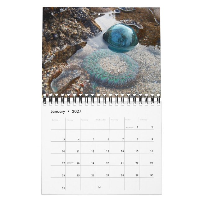 2015 Japanischer Glass-Float-Kalender Kalender (Jan 2027)