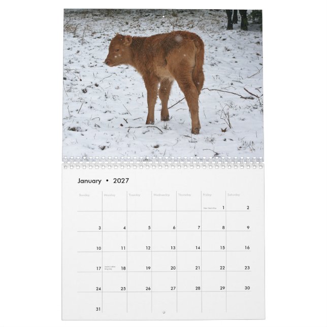 2015 Kälber Kalender (Jan 2027)