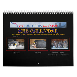 2015 Kalender - Hauptnocken-Collagen