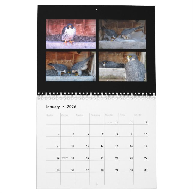 2015 Kalender - Hauptnocken-Collagen (Jan 2026)