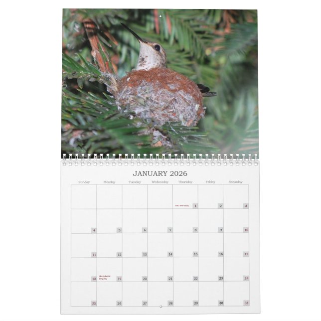 2015 Kolibri-Kalender Kalender (Jan 2026)