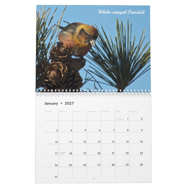 2015 Nordamerikaner-Vogel-Kalender Kalender (Jan 2027)