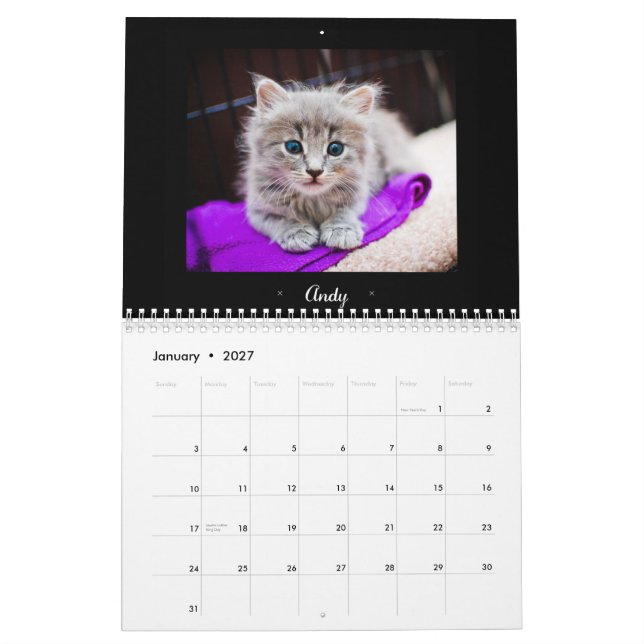 2015 PflegeFelines Kalender (Jan 2027)