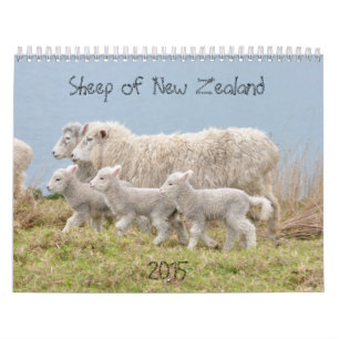 2015 Schafe Neuseeland-Kalender Kalender