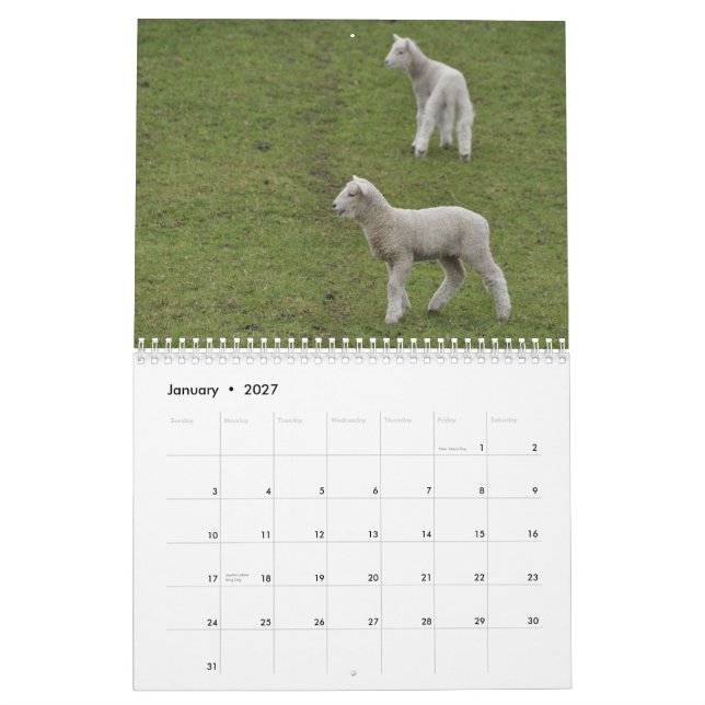 2015 Schafe Neuseeland-Kalender Kalender (Jan 2027)