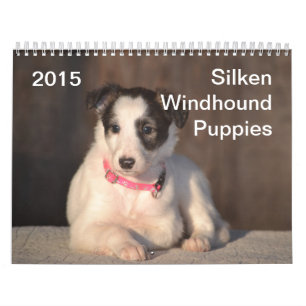 2015 seidene Windhound Welpen Kalender