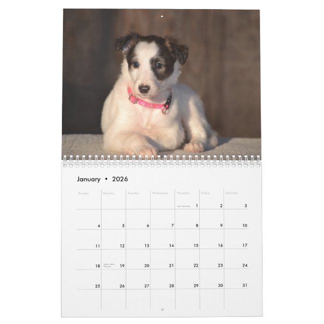 2015 seidene Windhound Welpen Kalender (Jan 2026)