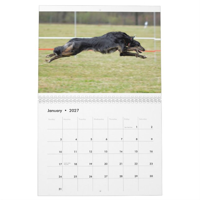 2015 seidenes Windhounds in der Aktion Kalender (Jan 2027)