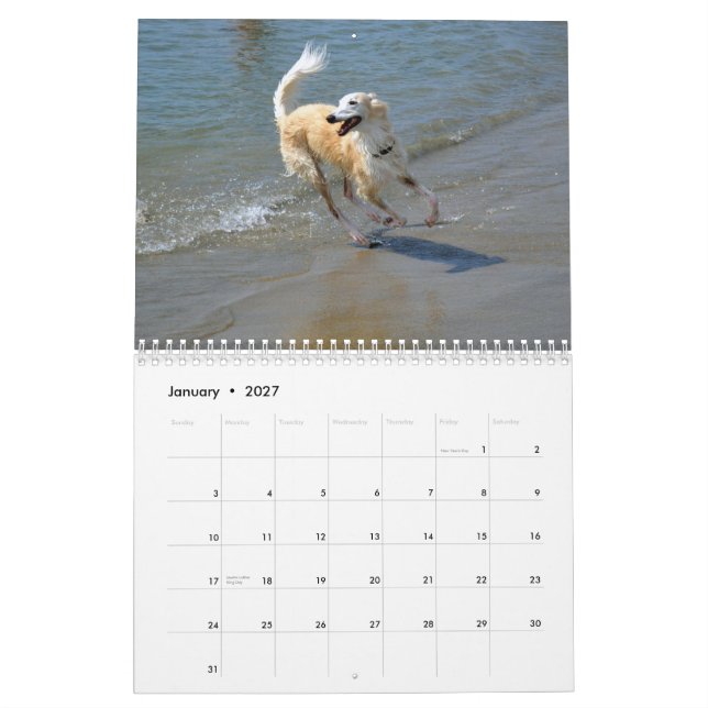 2015 seidenes Windhounds in der Aktion Kalender (Jan 2027)