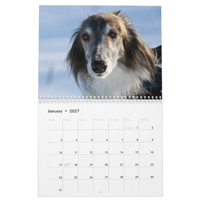 2015 seidenes Windhounds Kalender (Jan 2027)