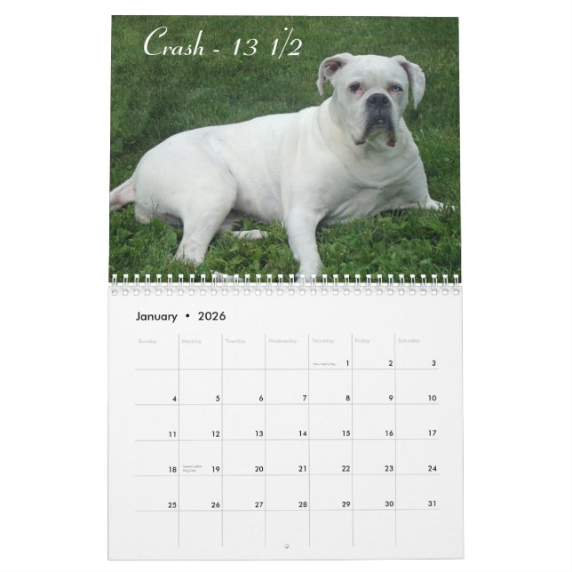 2015 Senior-Boxer-Kalender Kalender (Jan 2026)