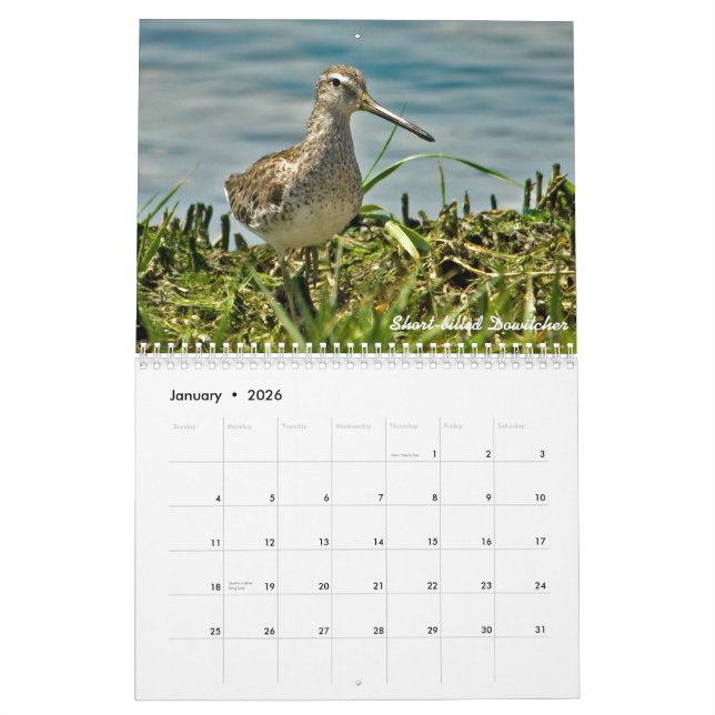 2015 Shorebirds-Kalender Kalender (Jan 2026)