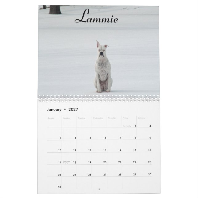 2015 Weiß-Boxer-Kalender Kalender (Jan 2027)