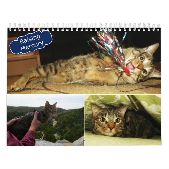 2016 anhebender Mercury-Kalender Kalender (Titelbild)