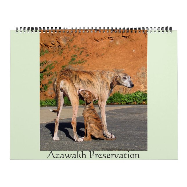 2016 AZAWAKH CALENDAR KALENDER (Titelbild)