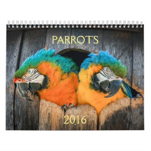 2016 Kalender der Papageien, Macaw, Amazonas,