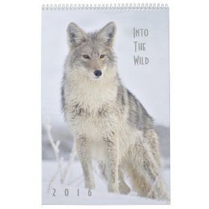 2016 Mauer-Kalender der Wildtiere von Steven Holt Kalender