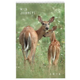 2016 Mauerkalender für Wildtiere - Naturfotografie Kalender