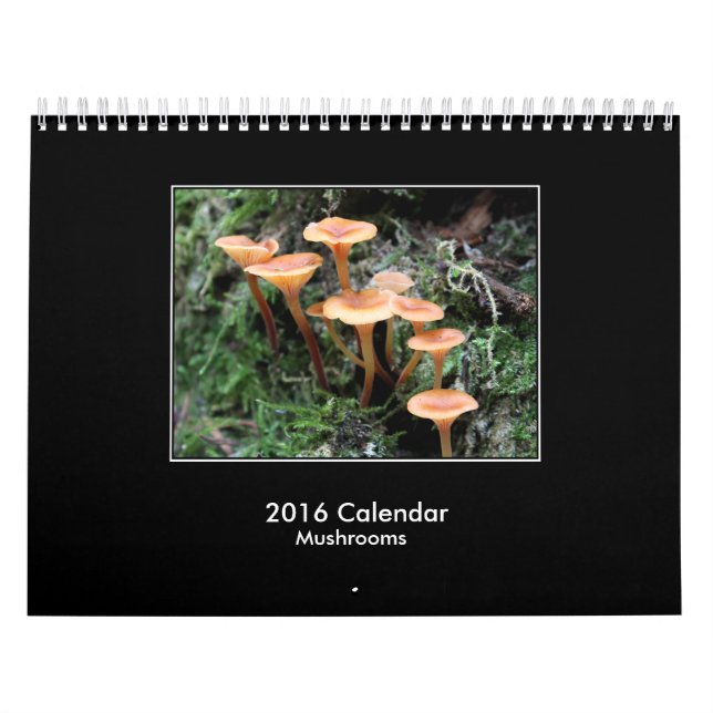 2016 Pilz-Kalender Kalender (Titelbild)