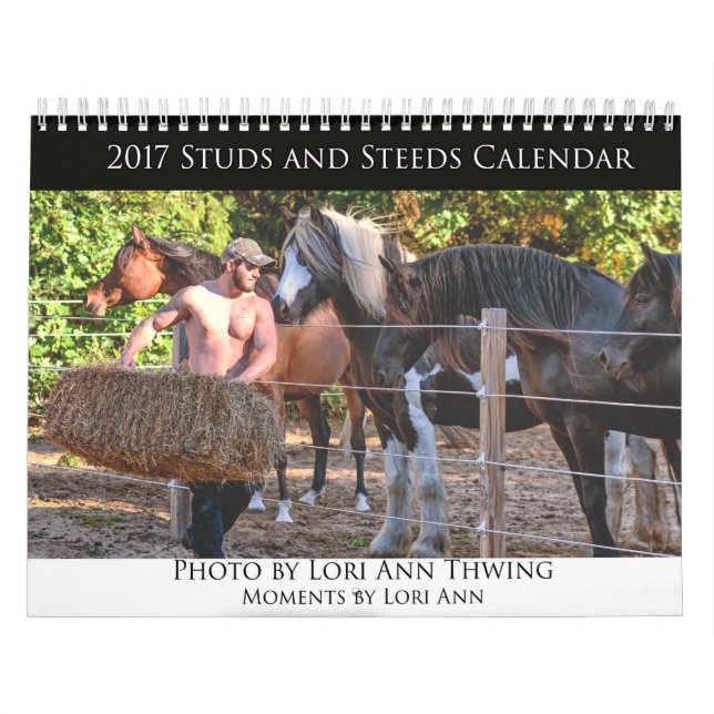 2017 Bolzen und Steeds-Kalender Kalender (Titelbild)