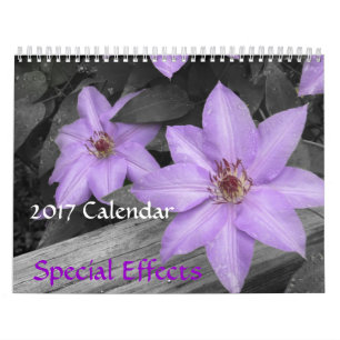2017 Kalender-Spezieller Effekt-Kalender Kalender