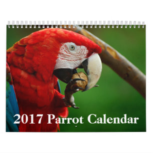 2017 Papageien-Kalender Kalender