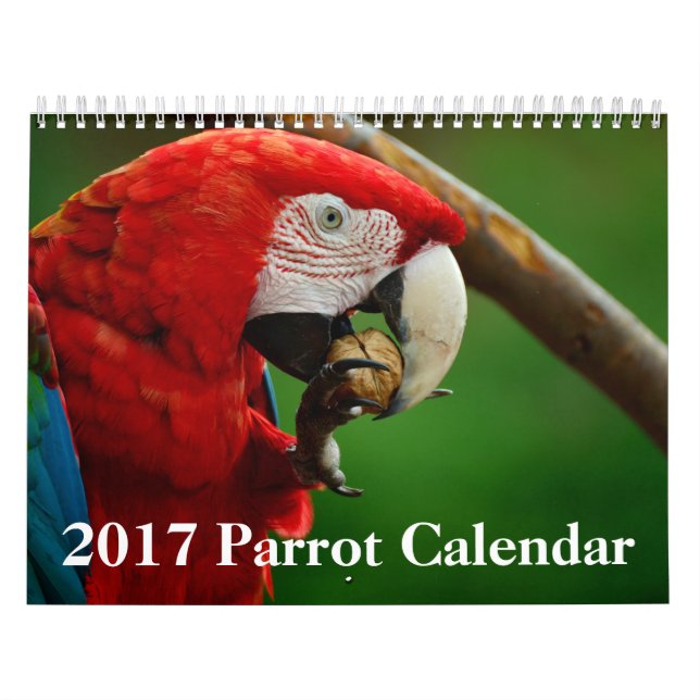 2017 Papageien-Kalender Kalender (Titelbild)