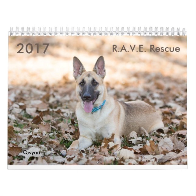 2017 R.A.V.E. Rettungs-Kalender Kalender (Titelbild)