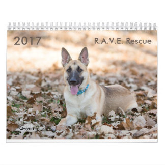 2017 R.A.V.E. Rettungs-Kalender Kalender