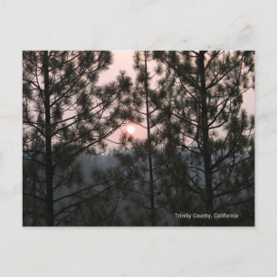 2018 Carr Fire Sunrise.. Postkarte