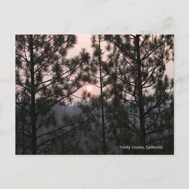 2018 Carr Fire Sunrise.. Postkarte (Vorderseite)