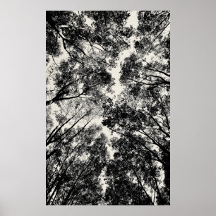 2018 durch die Bäume SVP-Bilder Poster