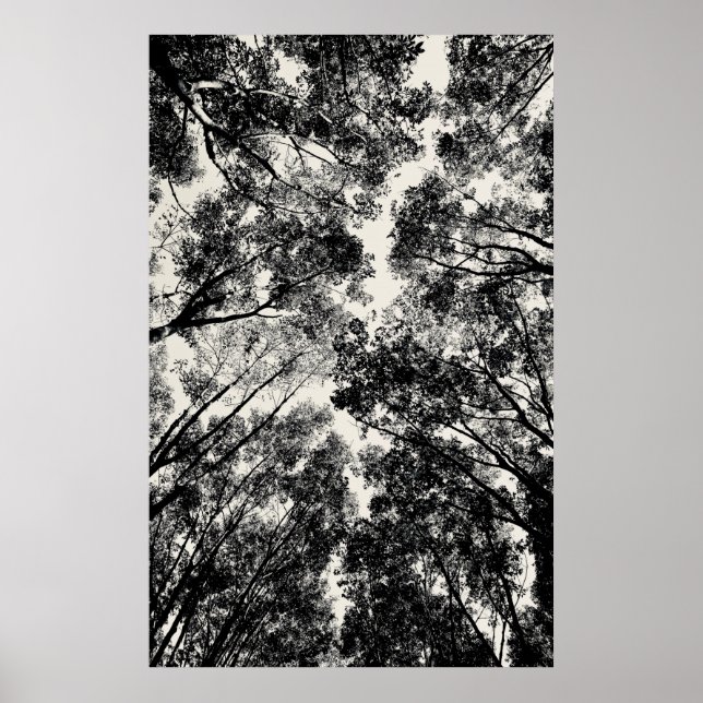 2018 durch die Bäume | SVP-Bilder Poster (Vorne)