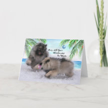 2018 Kollektorenkeeshond-Weihnachtskarte #2