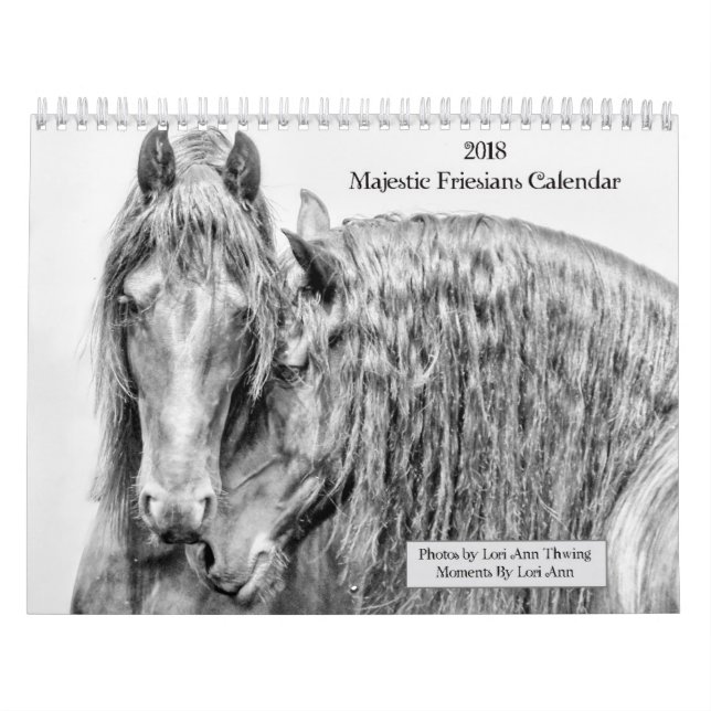 2018 majestätischer Rind-Kalender Kalender (Titelbild)