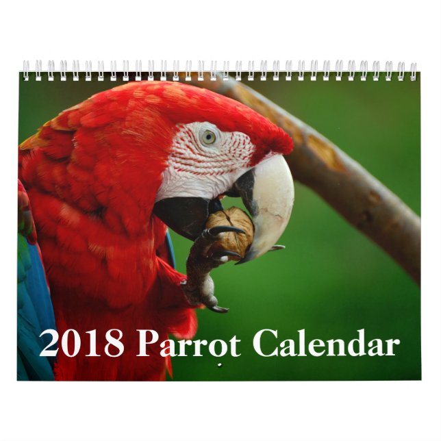 2018 Papageien-Kalender Kalender (Titelbild)