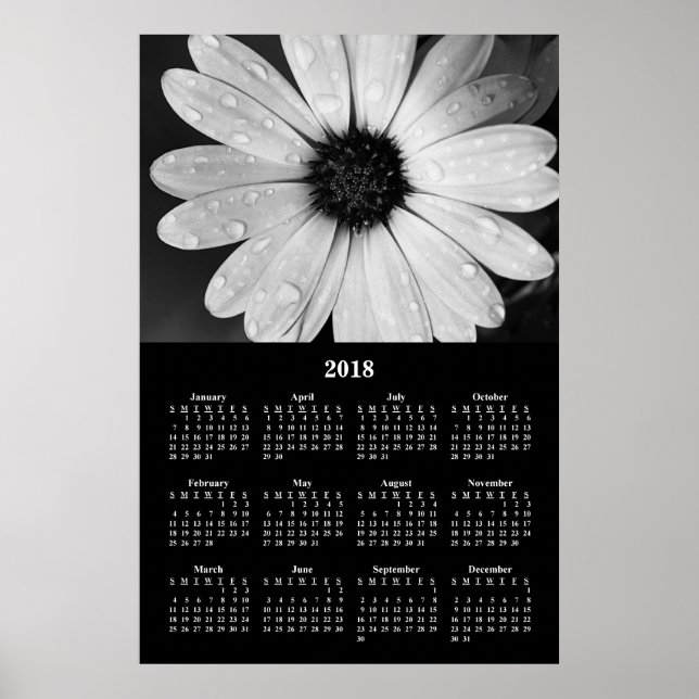 2018 Wall Calendar African Daisy Poster (Vorne)