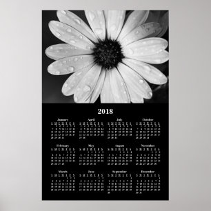 2018 Wandkalender African Daisy Poster