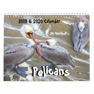 2019 2020 Pelikan-Vogel-Tier-Tier-Kalender Kalender