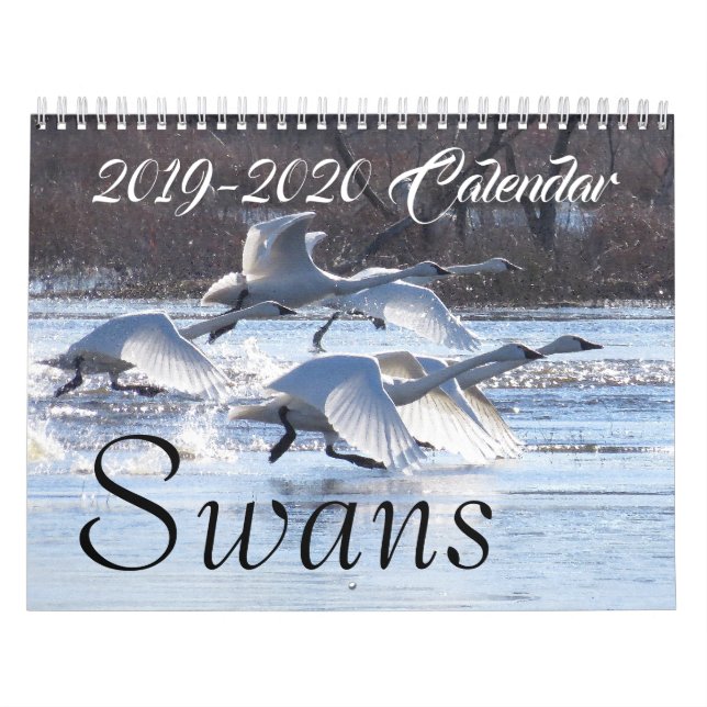 2019 2020 Schwan-Vogel-Tier-Tier-Schutz Kalender (Titelbild)