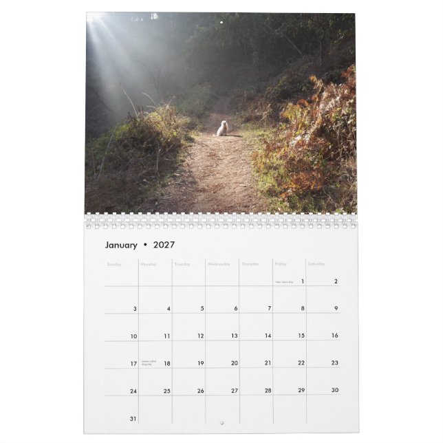 2019 Gwendolyn Kalender - Medium (Jan 2027)