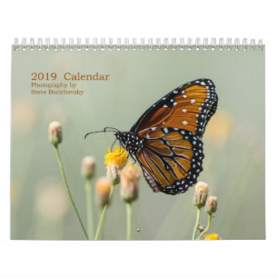 2019 Kalender, Fotografie durch Steve Borichevsky Kalender