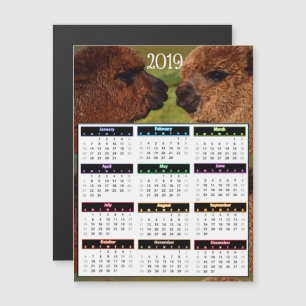 2019 lustige Alpaka-Minikalender Magneteinladung