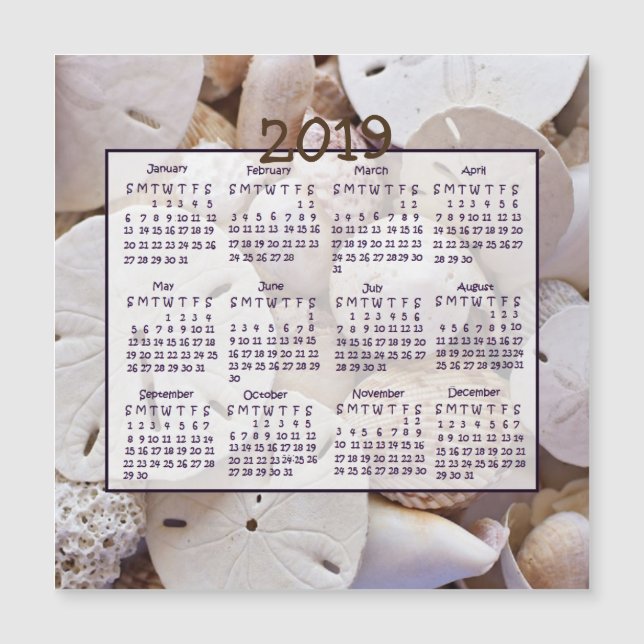 2019 Muscheln Sand Dollar Mini Magnet Kalender (Vorderseite)