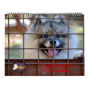 2019 Trompetekeeshond-Kalender Kalender
