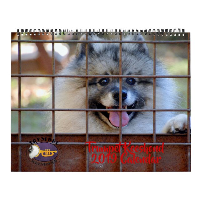 2019 Trompetekeeshond-Kalender Kalender (Titelbild)