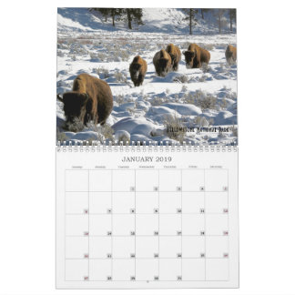 2019 US Public Lands Wildlife Calendar Kalender