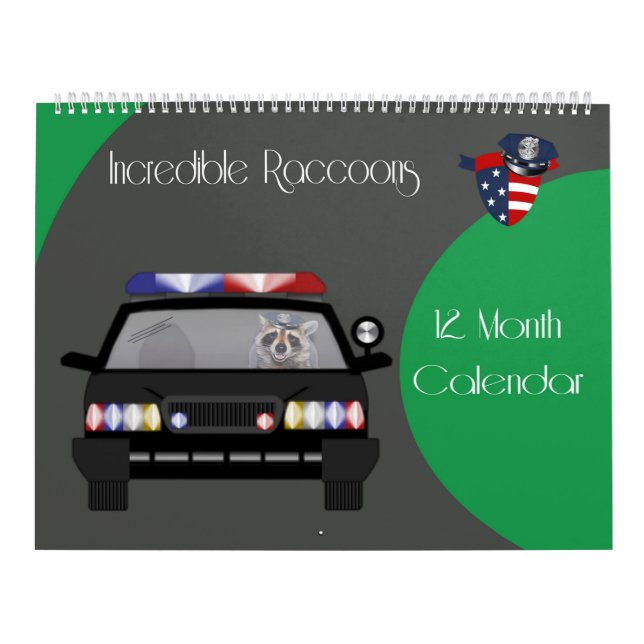 2020 12 Monate Raccoon-Kalender Kalender (Titelbild)