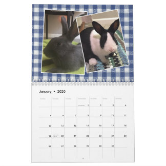 2020 Bunny Rescue & Bildung Kalender